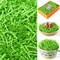 12 oz Easter Grass Paper Shred (Light Green) for Basket Filling
